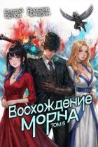 Книга Восхождение Морна. Том 5 (СИ)