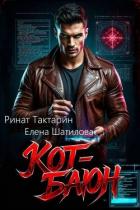 Книга Кот-Баюн (СИ)