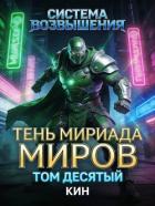 Книга Тень Мириада Миров (СИ)
