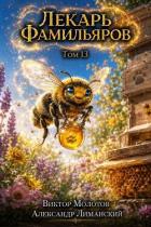 Книга Лекарь Фамильяров. Том 13 (СИ)