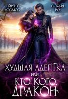 Книга Худшая адептка, или посмотрим, кто кого, дракон! (СИ)